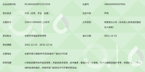 合肥大智慧信息技術(shù) 計(jì)算機(jī)軟硬件技術(shù)開(kāi)發(fā)的創(chuàng)新引擎