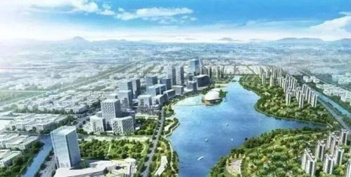杭州灣新區 為何成為外地投資客的“香餑餑”？開發商敏銳嗅覺與上海技術開發的雙重引力